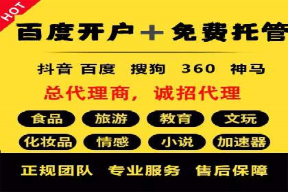 案例剖析：SEM代运营服务公司的优势与挑战
