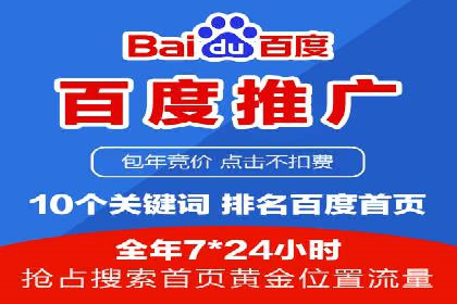 百度SEO推广案例：实战解析与优化建议